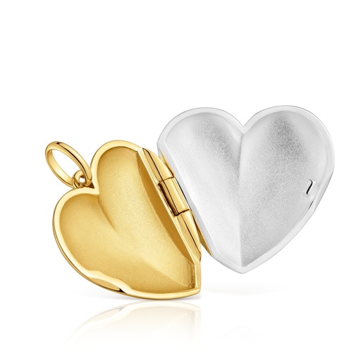 Dije corazón bicolor Medallions