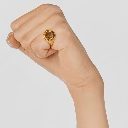 خاتم توقيع Virtual Garden من فيرميل الفضة مرصّع باللابرادوريت والعقيق