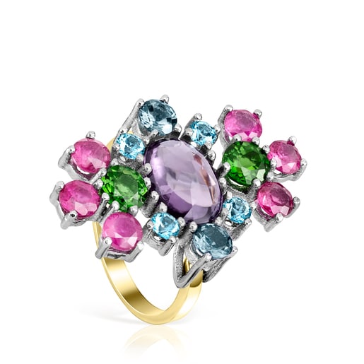 Anillo Real Sisy de Titanio y Oro con Gemas