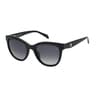 Black TOUS Glory Bear Sunglasses