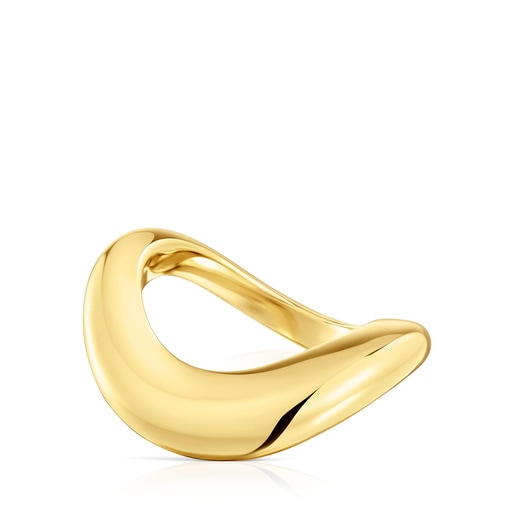 Small Ring with 18kt gold plating over silver Galia Basics