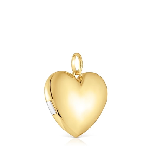 Two-tone heart Pendant Medallions