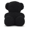 Black Teddy bear Bold Bear Fleece