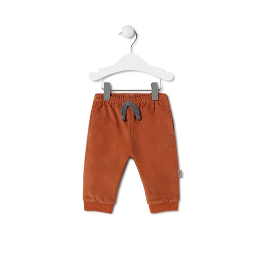 Boys outfit with bears in Grey ecru