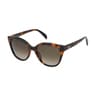 Gafas de sol Glory Bear havana