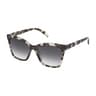 Gray bear Sunglasses Square Bear