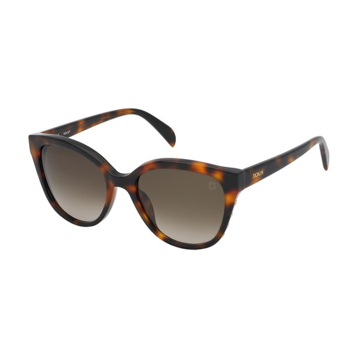 Havana colored Glory Bear Sunglasses TOUS 