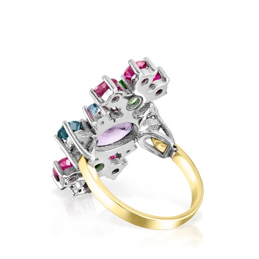 Anillo Real Sisy de Titanio y Oro con Gemas