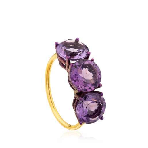 ATELIER Titanium Ring with Gold and Amethysts