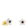 Gold Super Power Earrings with Mother-of-pearl and Lapiz lazuli