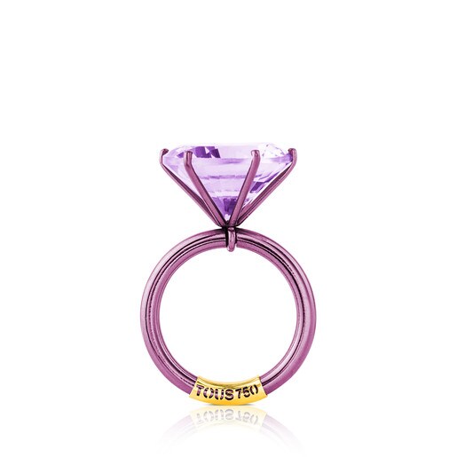 Gold Sisy Ring with Titanium and Amethyst