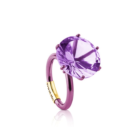 Gold Sisy Ring with Titanium and Amethyst