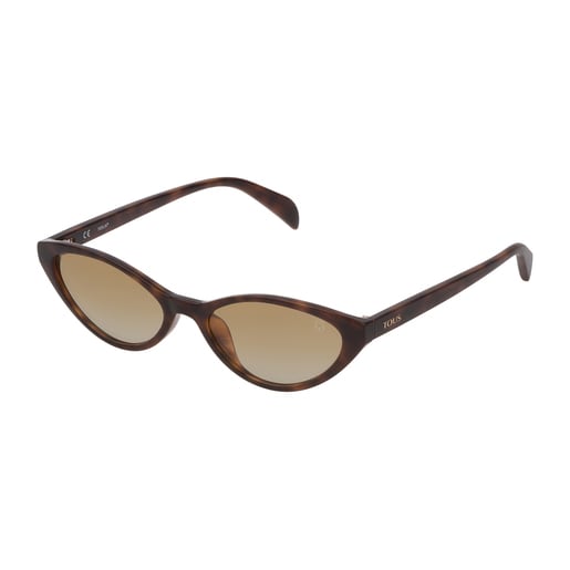 Gafas de sol Bear Cat Eye de acetato en color marrón