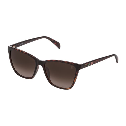 Brown Acetate Glory Sunglasses